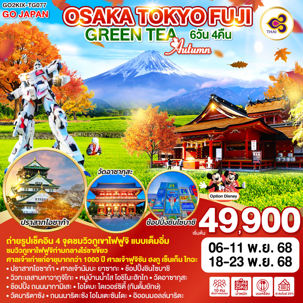 ทัวร์ญี่ปุ่น OSAKA TOKYO FUJI GREEN TEA AUTUMN 6วัน 4คืน  (TG)